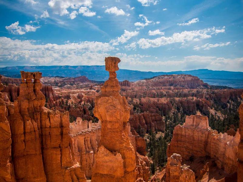 community screenshot 3